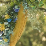 déclaration mariage