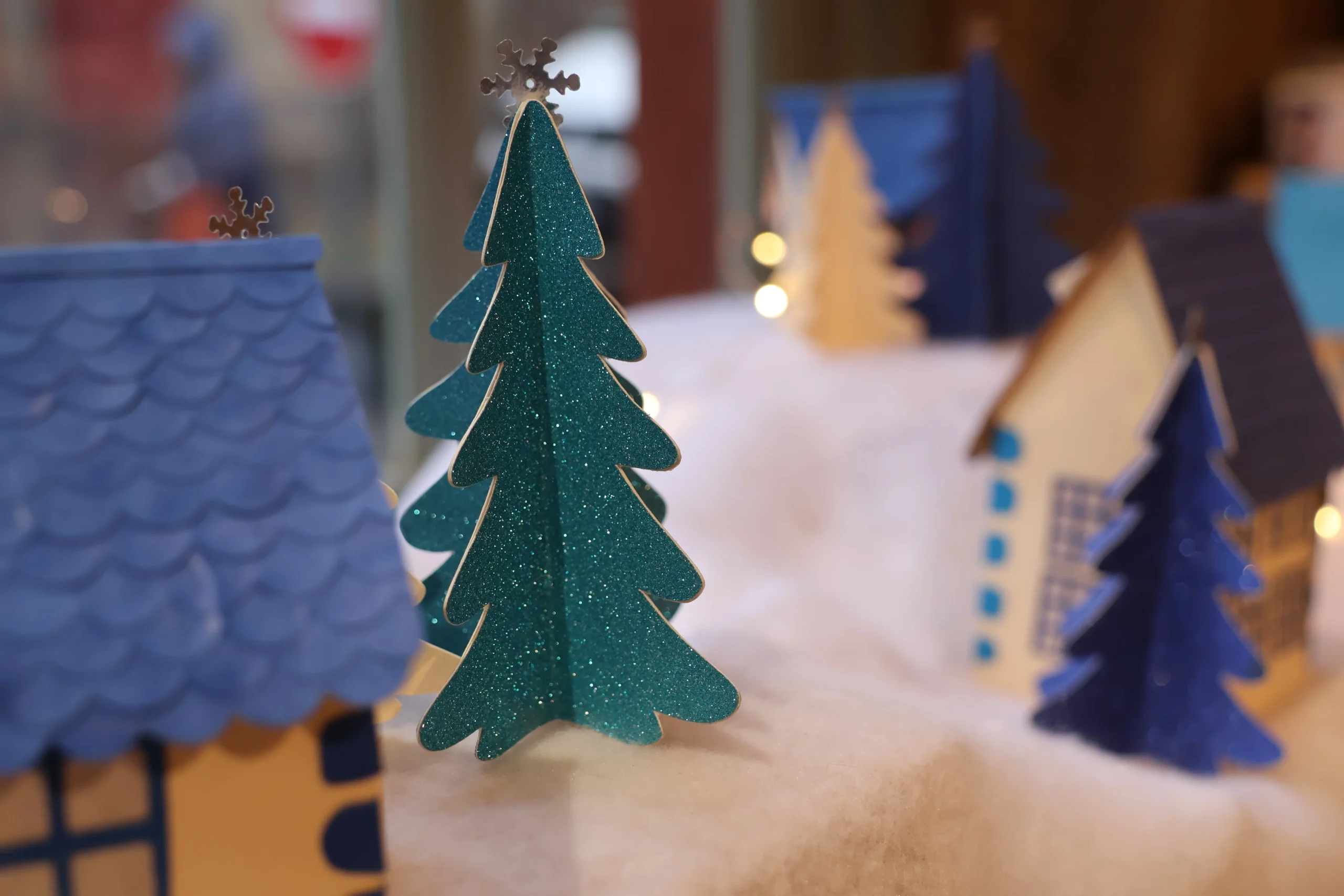 Vitrine Les Découvertes d’Alex Malestroit