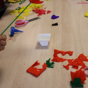 cse -crédit agricole